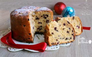 PANETTONE CON MIRTILLI ROSSI E CIOCCOLATO