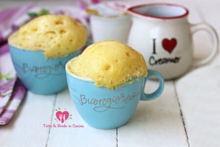 MUG CAKE ALLO YOGURT EV