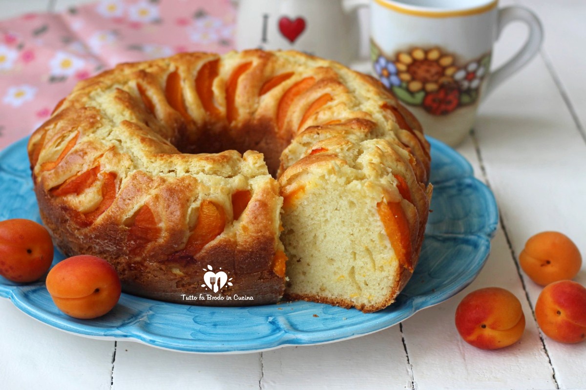 Ciambella All Avena E Nocciole Senza Glutine E Lattosio Tutto Fa Brodo In Cucina